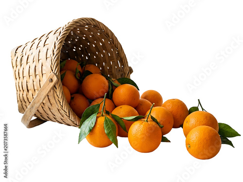 A wicker basket tipped over with oranges and leaves spilling out onto a white surface with some fruits still inside it isolated on transparent background
