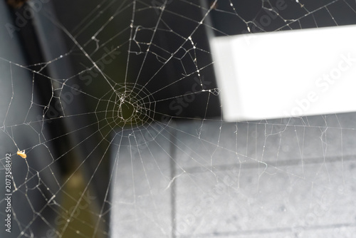 Photos Detail of web spun by spider against modern architecture