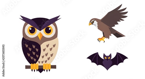 Vector illustration of owl, bat, and hawk with white background