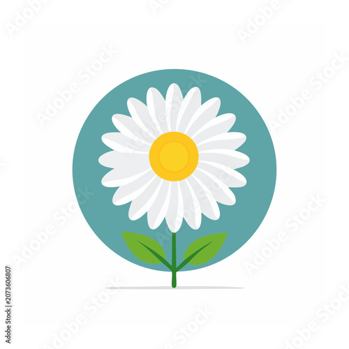 Flat illustration of a white daisy flower with green leaves