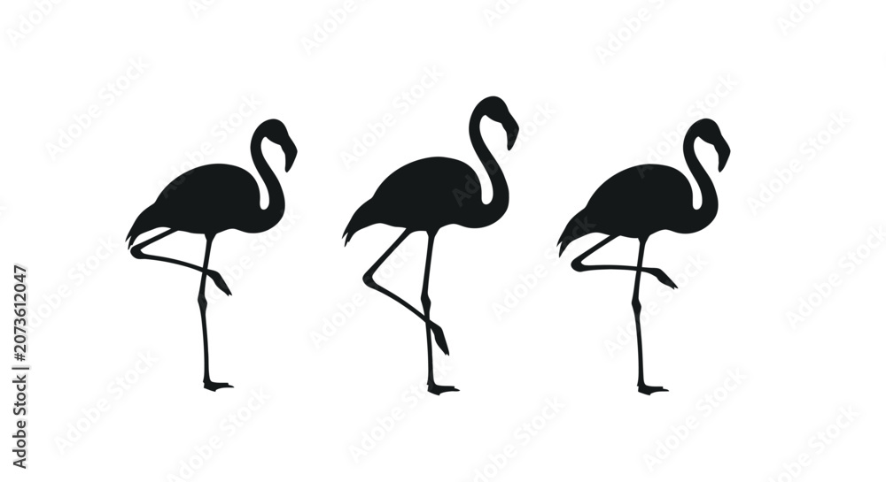 Naklejka premium Three Flamingos Standing Side by Side 1.
