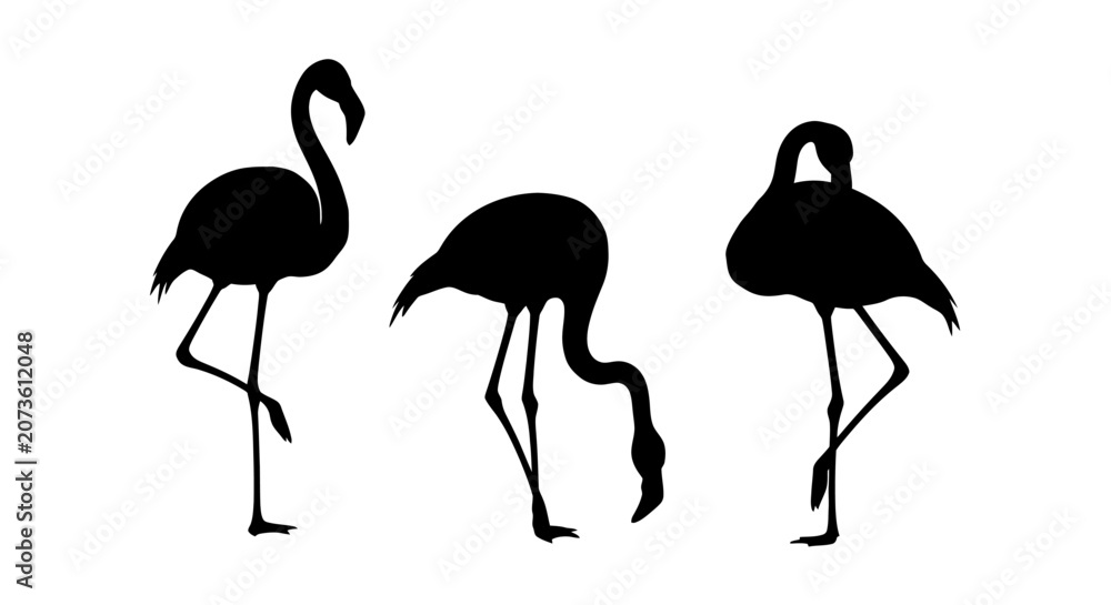 Obraz premium Three Flamingos in Black Silhouette Standing.