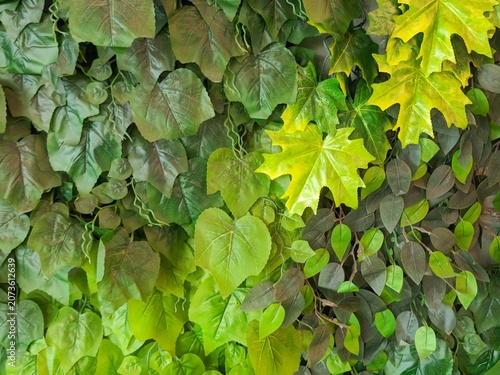 Green Foliage Texture with Mixed Tropical Leaves Natural Botanical Background