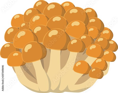 なめこのイラスト