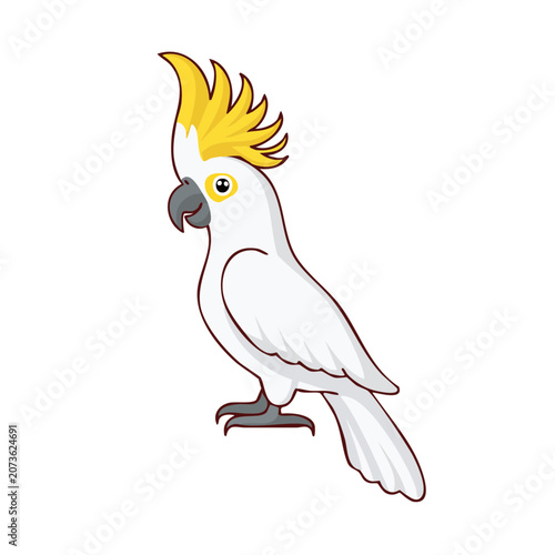Sulfur-crested Cockatoo Vector Illustration