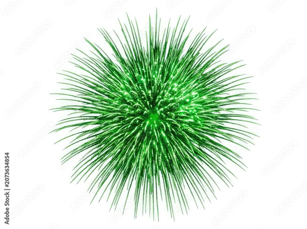 Obraz premium A single green plant in a spherical shape, composed of many thin leaves spreading outwards, resembling a dandelion puff or a grass ball