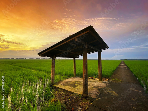 Fotografija A rustic farmers' shelter stands as a solitary sentinel in a vast, lush green ri