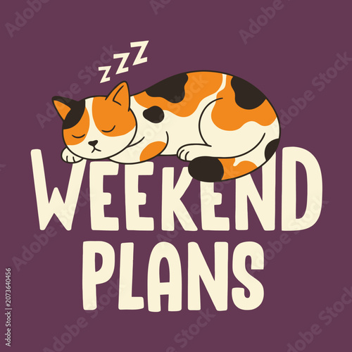Fotografie Sleeping Orange Cat with Black Spots.