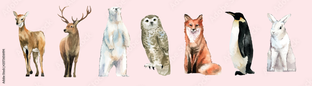 Obraz premium Vector set of diverse animals including deer, polar bear, owl, fox, penguin and rabbit
