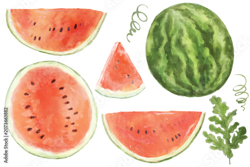 Set of slices watermelons fruit watercolor painted isolated on white background.