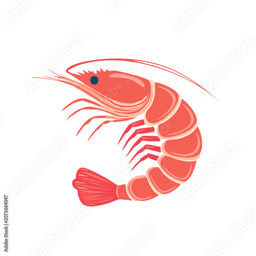 Red Shrimp Flat Vector Illustration