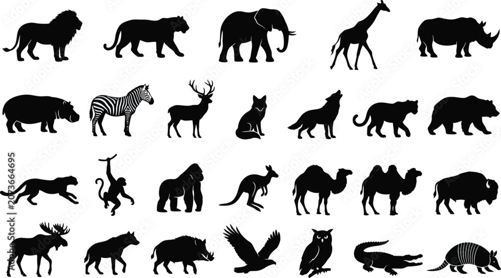 Fototapeta premium Black and white of diverse animals walking in a row diverse species