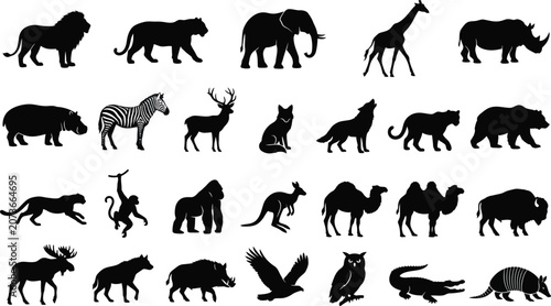 Photography Black and white of diverse animals walking in a row diverse species