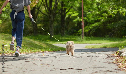 Foto 春の公園で可愛いポメラニアンの子犬を連れて遊んでいる十代の女の子の姿