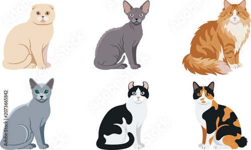 Valokuva Domestic Purebred Cat Breed Flat Vector Illustration Set Featuring Scottish Fold