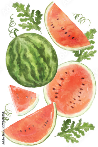 Watermelons fruit watercolor pattern background