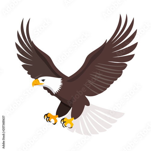 Bald eagle in flight, flat vector illustration