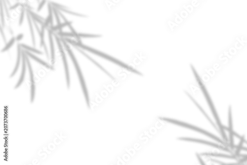 shadow overlay effect of dappled bamboo leaves with foliage soft blurred silhouette and bokeh leaf  on the corner suitable for texture design background