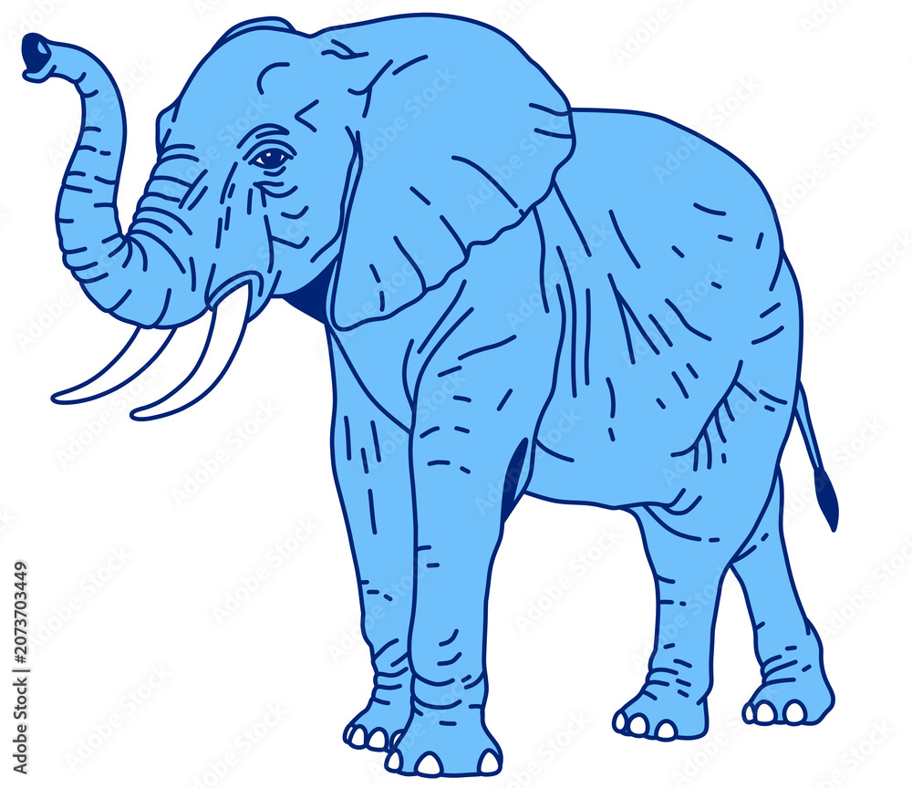 Fototapeta premium Illustration of an adult African elephant walking with its trunk raised