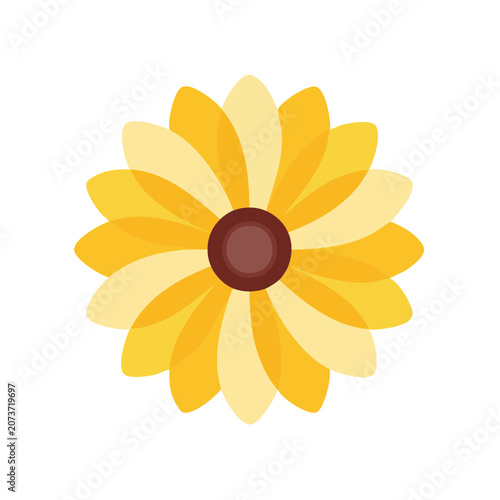 Flat illustration of a sunflower with transparent background
