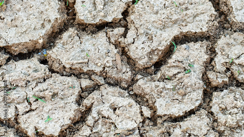 Canvas-taulu Dry, cracked clay soil with deep desiccation fissures caused by severe drought and extreme dehydration