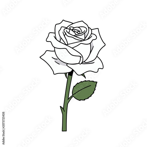 White rose line art vector illustration