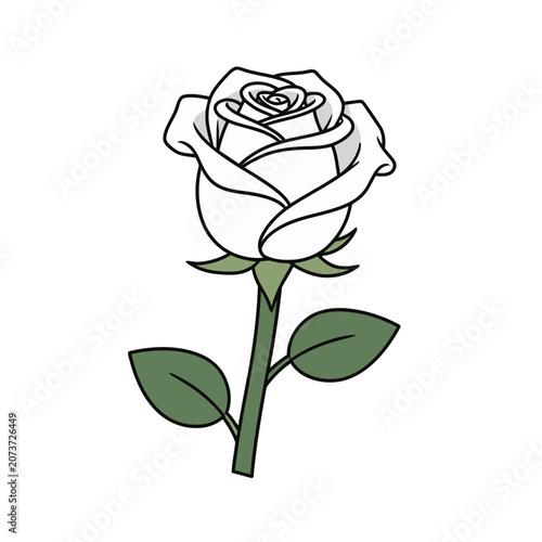 White rose with green stem and leaves vector illustration