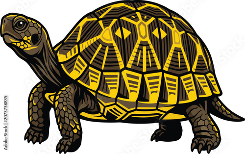 Cuadro en lienzo Detailed vector illustration of a land tortoise with a patterned yellow shell is