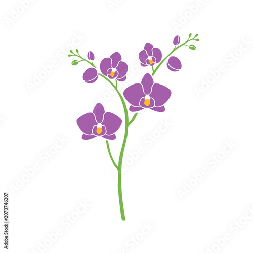 Purple Orchid Flower Vector Illustration