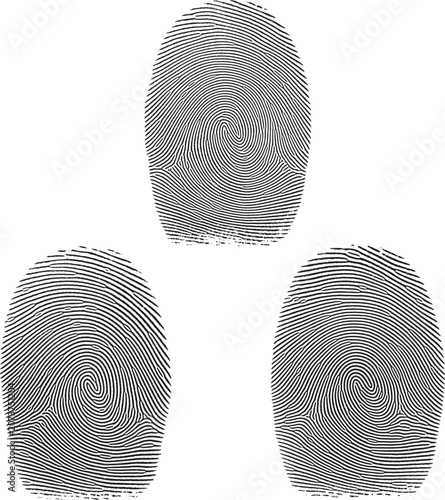 Three distinct fingerprint biometric identification patterns with fingerprint biometric identification security identity forensic investigation verification technology dermatoglyphics