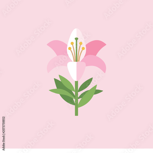 A simple flat illustration of a pink lily flower icon