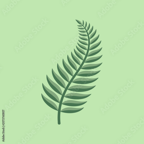 A simple green fern leaf illustration on a light green background