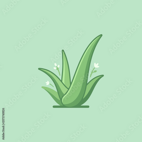 Minimalist vector illustration of a green aloe vera plant