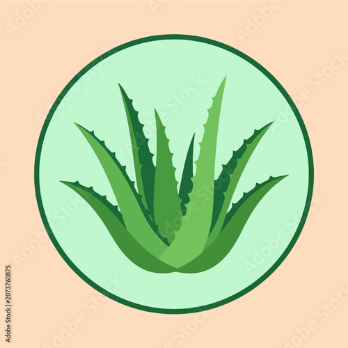 A green aloe vera plant illustration inside a circular frame