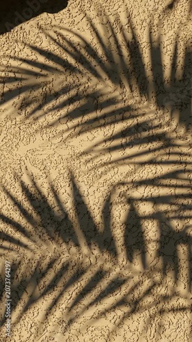 Relaxing Palm Leaves Shadow Animation Background Footage