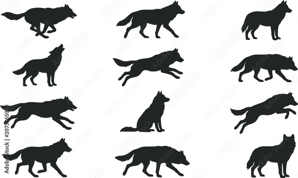 Obraz premium Collection of black wolf silhouettes in various poses
