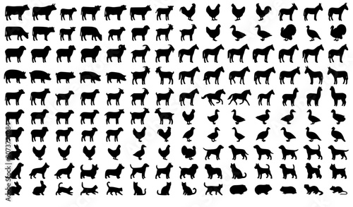 Fotografie Livestock and Poultry Silhouette Collection with Farm and Domestic Animal Icons