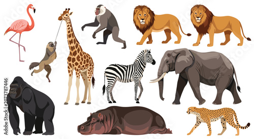 Set of various wild african animals including lion elephant zebra giraffe and gorilla isolated on white background for design.
