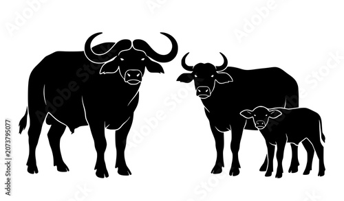 Canvas Print African Buffalo Silhouette Family Collection with Bull Cow and Calf Isolated on