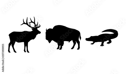 Photography North American Wildlife Black Silhouette Set with Elk Bison and American Alligat