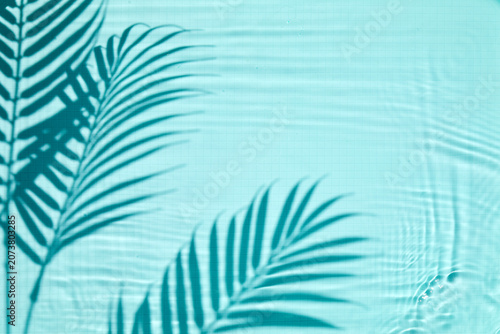Palm leaves shadow creating ripples on blue water