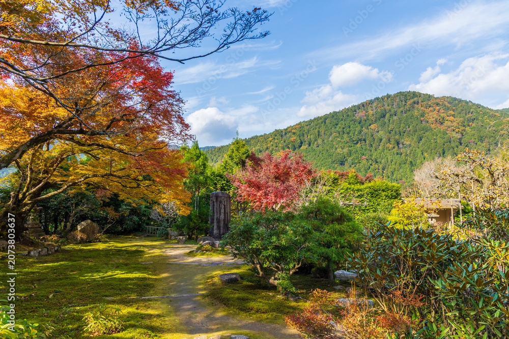 Obraz premium 日本の風景・秋 京都 大原 紅葉の実光院