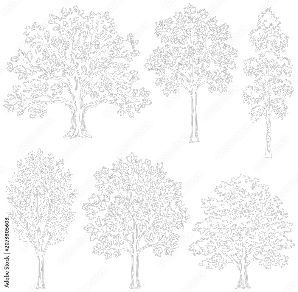 Fototapeta premium Minimalist tree line art collection, set of 6 deciduous and evergreen tree silhouettes, hand drawn botanical vector sketches for landscape design
