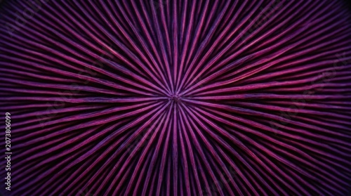 Abstract neon glowing wavy lines on dark background