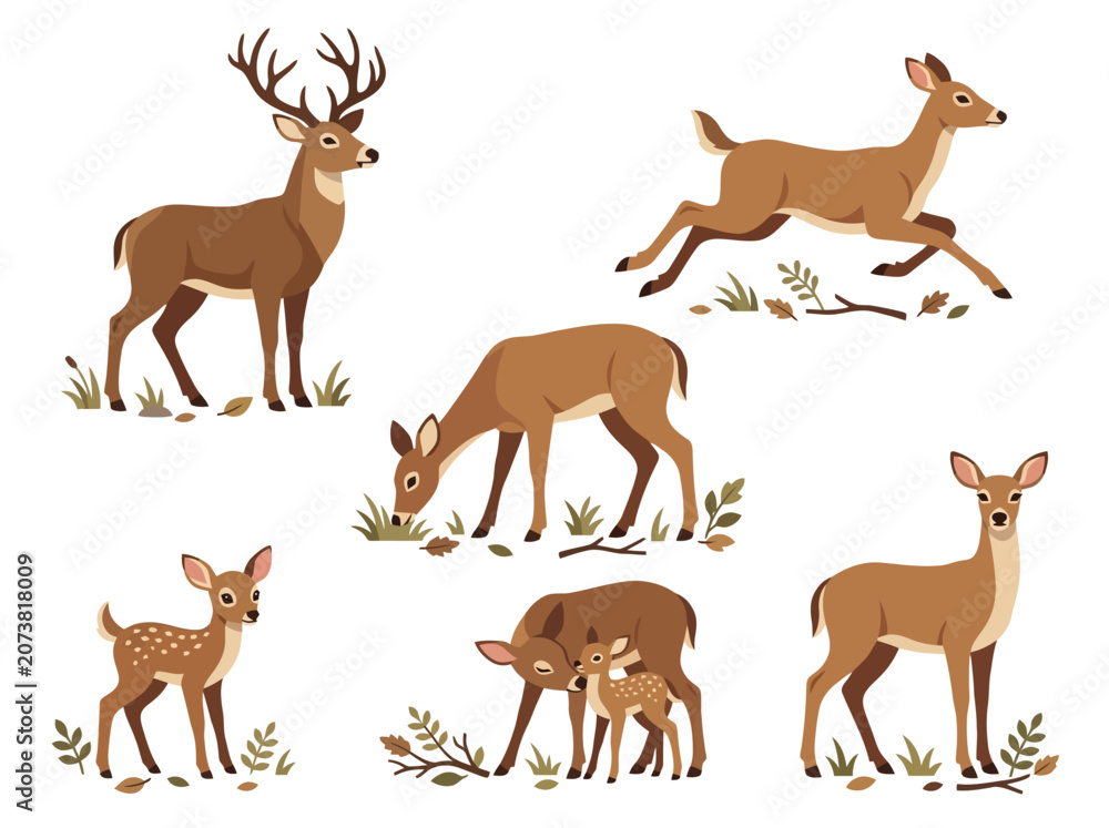 Obraz premium A collection of various deer in different poses and life stages.
