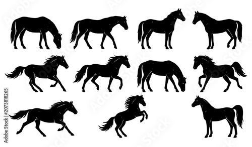 Obraz na płótnie Western Mustang Horse Side View Black Silhouette Vector Collection for Nature an