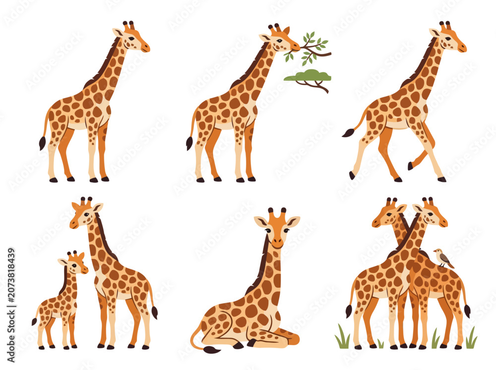 Obraz premium A collection of cartoon giraffes in various poses and activities.