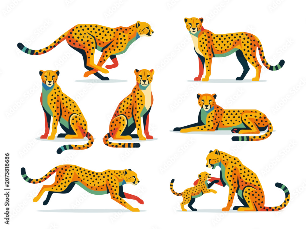 Obraz premium A collection of cheetahs in various poses including running sitting lying down and playing.