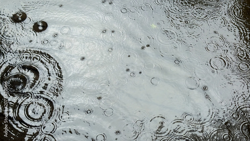 Fotografía 雨粒が広がる水面の波紋と空の映り込み