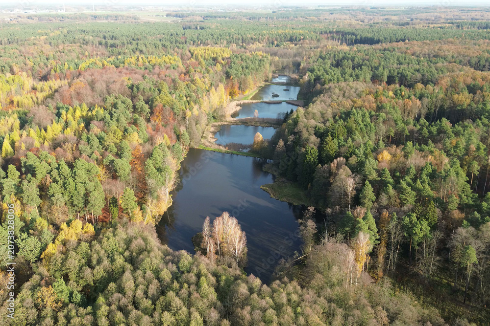 Fototapeta premium Fall season aerial view of forest and reservoir